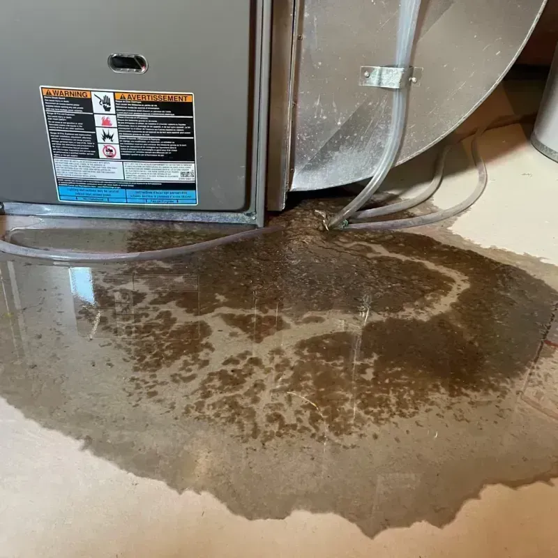 Appliance Leak Cleanup in Lyman, MS